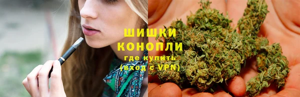тгк Белокуриха