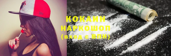 соль ск Богданович