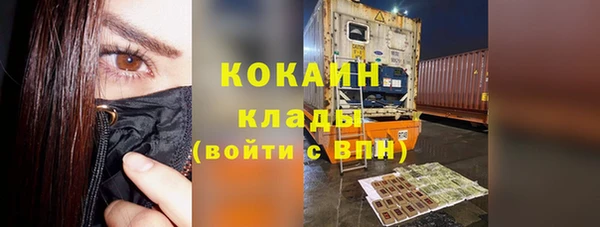 прущие грибы Богородск