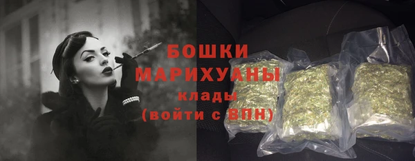 прущие грибы Богородск