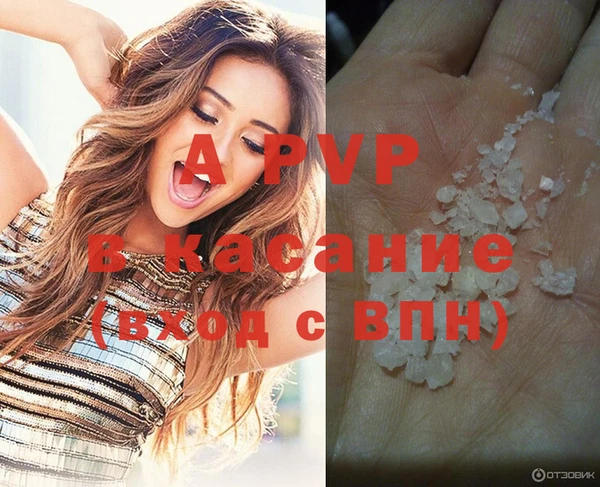 кокс Богородицк