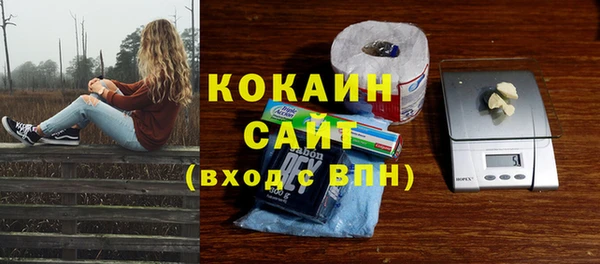 кокс Богородицк