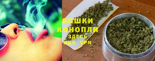 тгк Белокуриха