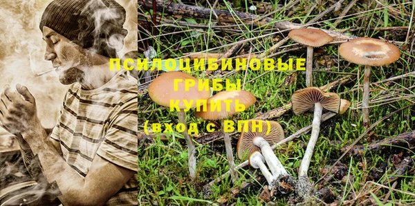 кокс Богородицк