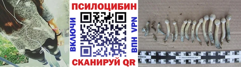 кракен как войти  сайты даркнета формула  Псилоцибиновые грибы MAGIC MUSHROOMS  Малмыж 