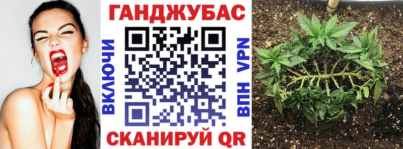 Бошки Шишки THC 21%  кракен как зайти  Малмыж  где купить наркотик 